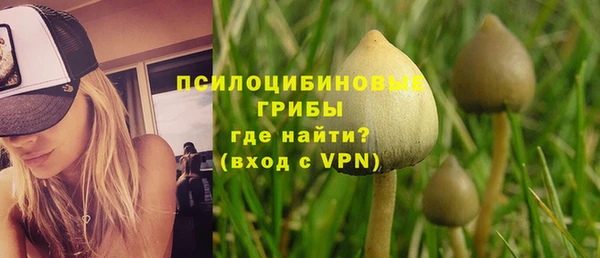 бошки Новозыбков