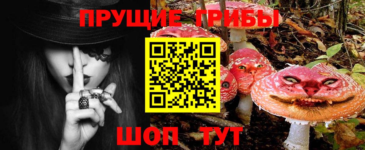 Галлюциногенные грибы Psilocybine cubensis  Лангепас 